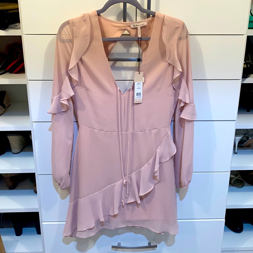 BCBGgeneration NWT Light Pink Long Sleeve Sheer Dress